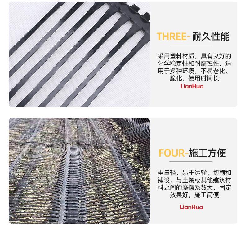 1单向塑料土工格栅_06.jpg