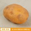 Legumes Simulados, Tomates Falsos, Repolho, Rabanete, Pimenta, Abóbora, Modelos de Batata, Adereços de Fotografia para Educação Infantil, Itens para Vitrine