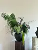Flores eternas verdes, atmosfera de primavera, decoração de casa, buquês para lojas, decoração de roupas femininas, galhos secos, materiais florais, arranjos florais para recepção, cenário