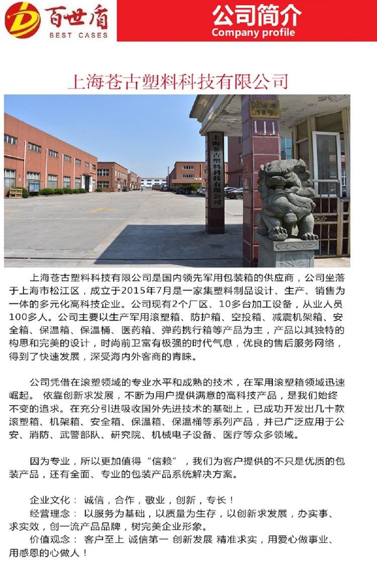 详情页10公司简介 (2)