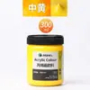 Pigmento Acrílico Marley 300ml Bote Grande Pared Dorada Pintada Impermeable Fluido Oso Pigmento Acrílico 12 Colores Muñeca de Yeso