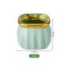 Maceta de Plástico Imitación Cerámica Estilo Nórdico Personalidad Creativa Borde Dorado Pothos Maceta para Suculentas Jarrón Retro Fabricante Venta al por Mayor