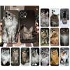 Capa de celular para iPhone 15 com vazamento lateral dominador de gato birmanês