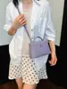 Bolso Cruzado Nuevo Estilo 2026 para Mujer, Bolso Mini Caja de Diseño de Nicho Estilo Ins, Versátil Bolso de Hombro y de Mano para Verano