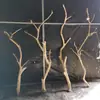 Garfo de tronco de galho seco arte galho seco galho morto tronco de madeira morto suporte de pássaro forma cabide de parede decoração de galho de teto