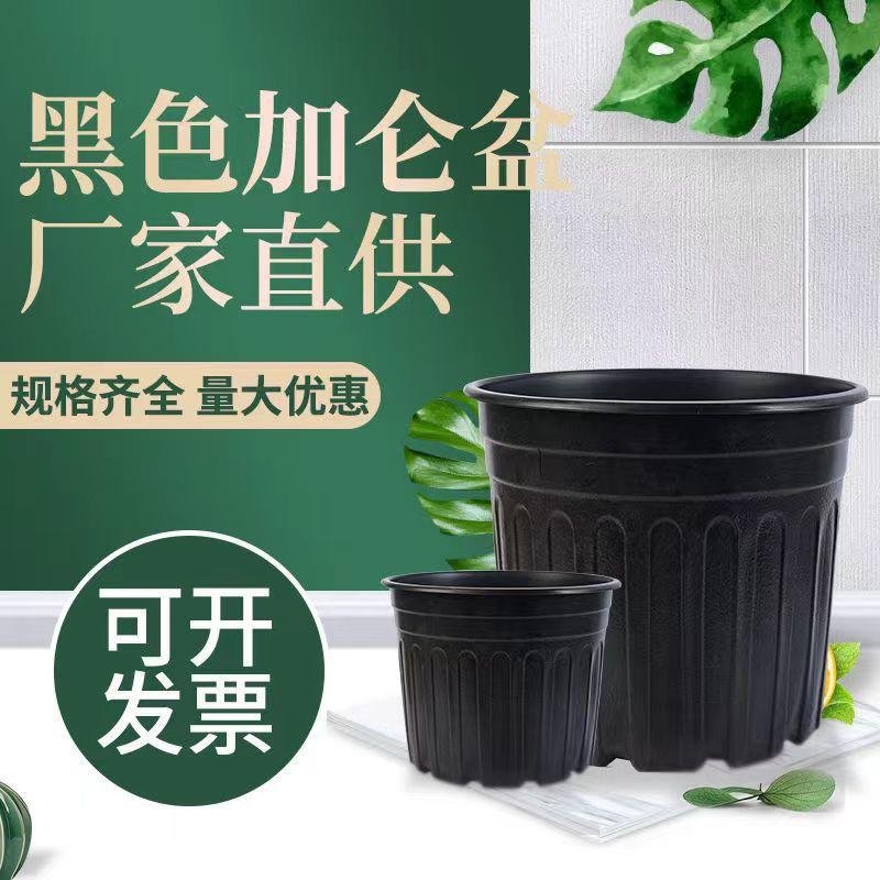 微信图片_20230523222003