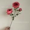 Nueva Flor Artificial Rosa Austin de 3 Cabezas Fondo para Salón de Bodas Flor de Decoración Suave Exhibición de Flores de Mesa en Stock