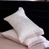 Fundas de Almohada de Tencel Frescas para Verano, Par de Fundas de Almohada de Lyocell para Adultos, Funda Interior para Relleno de Almohada de Seda Helada para Uso Doméstico, Nuevo Modelo 2026