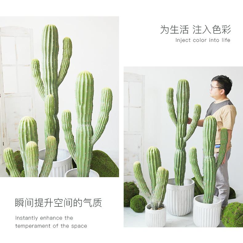 详情-19.jpg