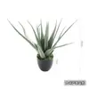 Planta artificial de aloe simulada nórdica, orquídea tigre falsa, suculentas tropicales, decoración para sala de estar interior, adornos para escaparates