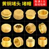 Enchufe a Prueba de Explosiones de Rosca Hexagonal Exterior de Cobre de 4 Puntos Cable Enchufe Tapa de Enchufe de 6 Puntos Tapón de Tubería de Pared de 1 Pulgada con Diente Interior Tapa para Tubería de Agua