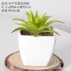 Plástico Fleshy Artificial Bonsai Flor Artificial Decoração Bonsai Interno Casa Escritório Planta Verde Pequenos Enfeites Plantas Artificiais