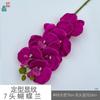 Padrão de modelagem 7 cabeça Phalaenopsis cola sentir Phalaenopsis estúdio fotográfico adereços flor de simulação janela bonita Chen