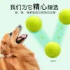 Brinquedo para Cachorro Bola Golden Retriever Teddy Bola Elástica Resistente a Mordidas Limpeza de Dentes Bola de Tênis Animal de Estimação Filhote Labrador Filhote Treinamento