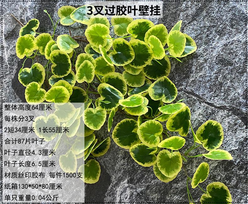 产品信息图-1.jpg