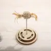 Vara teaser para gato doméstico, brinquedo de autoentretenimento para gatos, brinquedo para animais de estimação, brinquedo para gatos, brinquedo para aliviar o tédio, brinquedo para animais de estimação, brinquedo de madeira para gatos
