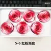 Rosa eterna de 5-6 cm de doble color, flor Tanabata, regalo de San Valentín, Navidad, cumpleaños, caja de regalo, materiales de regalo