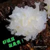 Tremella Fuciformis Seca de Tília, uma Especialidade de Gutian, Produtos Frescos, Fungo Branco Atacado, Fungo Orelha Glutinoso, Fungo Neve, Semente de Lótus, Sobremesa de Lírio