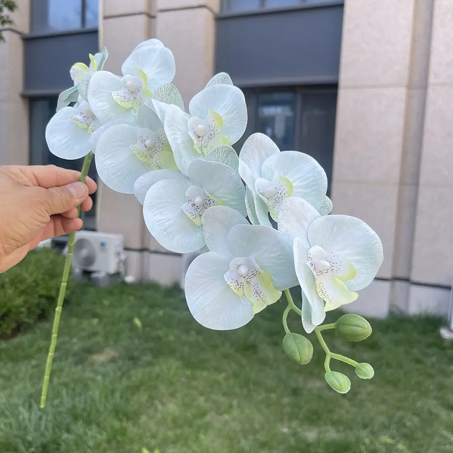9头短杆3D打印蝴蝶兰-xlmwdx-浅绿.JPG