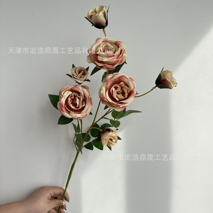 微信图片_202303091822236_副本