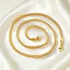Ventas Directas de Fábrica Cadena de Serpiente de Acero Inoxidable Collar Cadena de Hueso de Serpiente Redonda Chapada en Oro Acero de Titanio Cadena Lisa Cadena Colgante de Acero de Titanio para Hombres y Mujeres