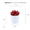 Set de Bonsái de Suculentas de Plástico Mini en Stock, Suculenta Artificial Creativa de Amazon, Flor Artificial Transfronteriza Planta en Maceta Pequeña
