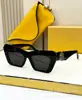 LOE Gafas de Sol Clásicas de Moda Ojo de Gato Placa de Alta Calidad Transfronterizas Luz de Lujo Anti-ultravioleta para Mujer LW40036I