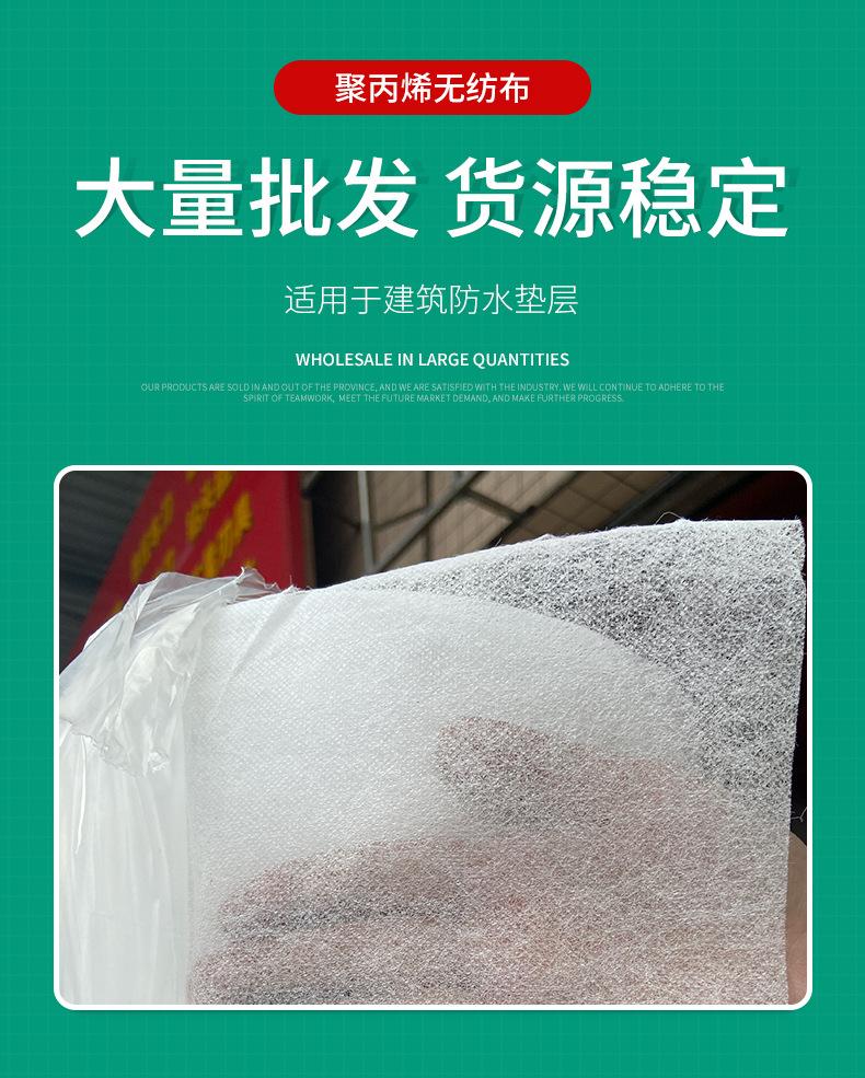 王晨筛网_01.jpg