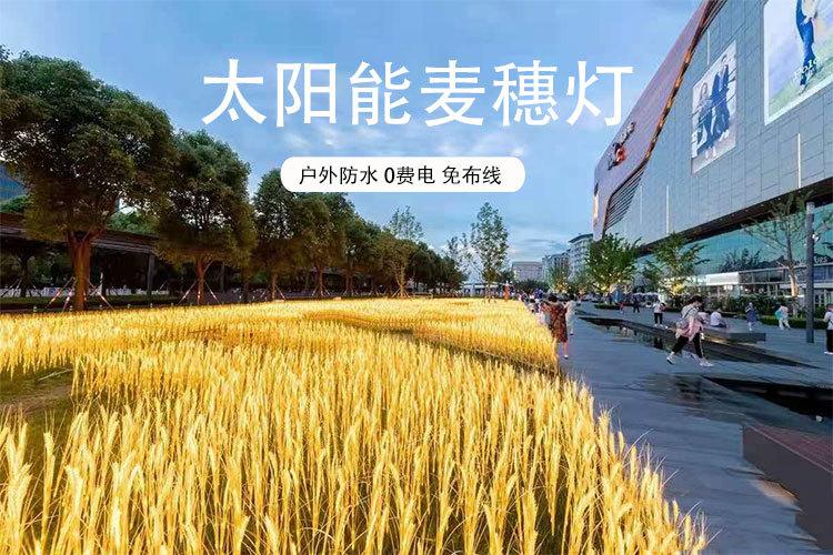 太阳能麦穗灯_01
