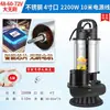 Bomba Sumergible Sin Escobillas DC para Hogar 48V60V Vehículo Eléctrico Bomba de Agua Pequeña Máquina Bombeadora de Agua de Pozo de Alto Levantamiento Bomba