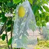 Enbolsado de Frutas, Enbolsado a Prueba de Insectos y Aves, Melocotón, Manzana, Guayaba y Pera Protección Especial Enbolsado de Árboles Frutales, Cubierta de Bolsa de Malla