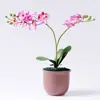 Atacado simulação Phalaenopsis decoração casa sala de estar ornamentos flor artificial flores em vaso presentes requintados flores artificiais