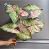 Flores Artificiales de Gran Venta Transfronteriza: Semillas de Hojas de Caladio de Colores de 7 Ramas, Caladio de Hoja Grande, Semillas de Caladio Bicolor, Flores de Maceta de Cuatro Estaciones, Flores Artificiales
