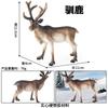 Modelo de Animal del Bosque de Simulación para Niños Transfronterizo Sólido Alce Ciervo Rojo Reno Ciervo Cola Blanca Juguete Adornos Navideños