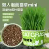 Gato Preguiçoso Erva para Gatos Macarrão Instantâneo Pet Snacks Comida de Gato em Lata Vaso Hidropônico com Erva para Gatos Comprimidos para Bolas de Pelo Palitos de Erva para Gatos Planta de Erva para Gatos em Vaso