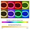 Tira de LED Suave de Colores 5050 de 12/24V Tira de Luz Suave RGB Tira de Luz de Bajo Voltaje de 10 mm Control Remoto Luz a Todo Color Tira de Luz RGB