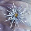 Adorno de cabeça de flor de seda de crisântemo antigo grampo de cabelo de crisântemo de oito pétalas feito em Ming acessórios para saia chebula Hanfu acessórios de clipe lateral