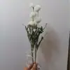 Combinación de Flores Artificiales Blancas Magnolia Phalaenopsis Rosa Diente de León Decoración Escénica de Boda Material de Flor Artificial Fabricante