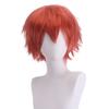 Peluca de cosplay Shengda principal de animación color universal Harajuku anti-deformada fabricantes de tocados de pelo corto europeos y americanos en stock