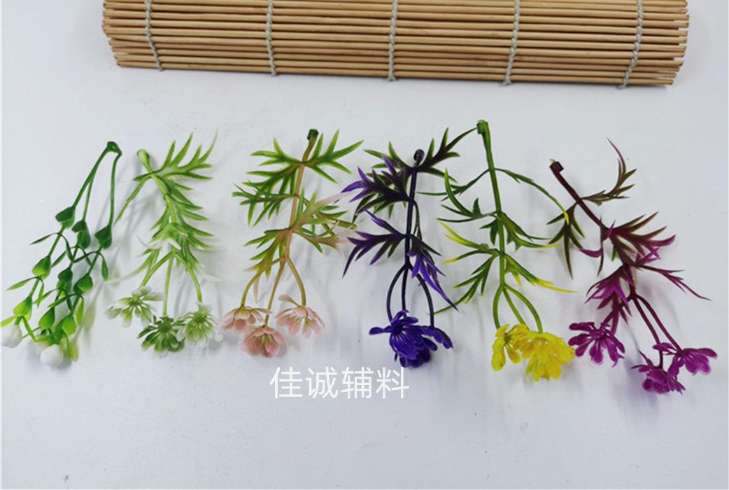 椰树-花 花多色.jpg