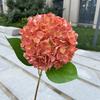 Impressão 3D Individual Hortênsia Jiangnan Flor Artificial Casamento Salão de Casamento Decoração de Casa Flor Falsa Atacado