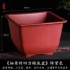 Maceta Cuadrada Creativa Planta Suculenta Árbol de la Fortuna Bonsái Maceta Especial de Jardinería Maceta de Plástico Simple
