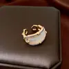 Anillo Irregular de Zirconia, Lujo Ligero y Sensación de Alta Gama, Anillo para Dedo Índice, Diseño de Personalidad Nicho, Joyería de Mano Moderna y Exquisita al por Mayor