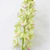 Flores Artificiales: Orquídea Phalaenopsis, Orquídea Pegada, Flores de Tacto Realista para Decoración del Hogar, Plantas Artificiales Estilo Diseñador, Flores Falsas de Gama Alta