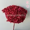 Hortênsia Flor Eterna Anna Hortênsia Bola Grande de Hortênsia Decorativa Artesanal DIY Material Sacola Outlet de Fábrica Yunnan