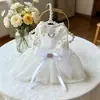 Roupas para Cachorro Outono Novo Bichon Vestido de Casamento Vestido de Renda Vestido Princesa com Guia Teddy