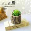 Vasos de Estaca de Madeira, Pequenas Plantas Suculentas em Vaso, Ornamentos Criativos para Casa da Moda, Plantas Verdes Artificiais, Fornecimento Direto dos Fabricantes