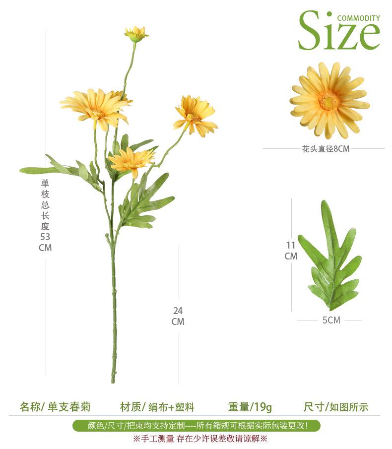 单支春菊三头菊花