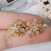 Brincos com Zircônia Exquisita e Pérolas Stud para Mulheres, Novo Estilo 2026, Design Elegante e Simples, Brincos de Hortênsia Estilo Retrô
