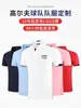 Roupas Personalizadas para Equipe de Golfe, Pedido Mínimo de 10 Peças, Entrega em 48 Horas, Taxa de Logo Grátis, Roupas Masculinas e Femininas, Camisetas de Manga Curta, Vestuário Masculino